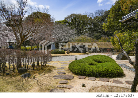 西尾市歴史公園（3月末日）旧近衛邸庭園 125178637