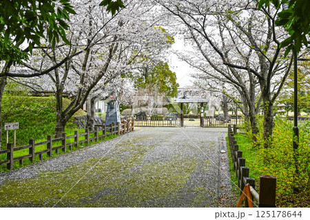 西尾市歴史公園(4月初旬) 西尾市歴史公園(4月初旬) 125178644
