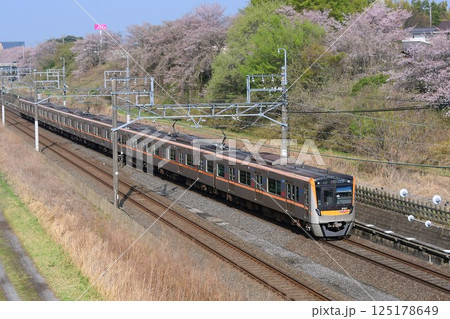 桜を背景に走る京成3100形アクセス特急　北総線内 125178649