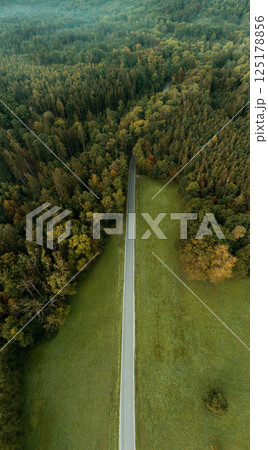 Drone aerial view vertical panorama with road going into the Black Forest 125178856