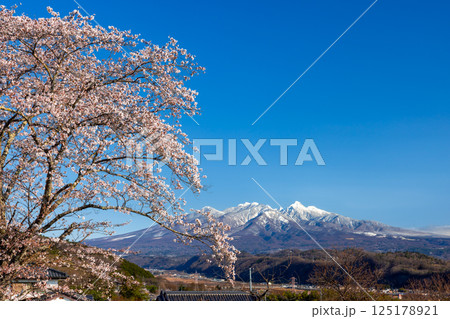 山梨県韮崎市神山町鍋山 川沿いの桜並木と背後の冠雪した八ヶ岳の景色 山梨県韮崎市神山町鍋山 川沿いの桜並木と背後の冠雪した八ヶ岳の景色 125178921