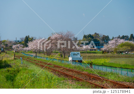 いすみ鉄道　春の長閑な農村風景　いすみ市新田野 125178941