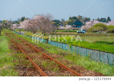 いすみ鉄道 春の長閑な農村風景 いすみ市新田野 いすみ鉄道 春の長閑な農村風景 いすみ市新田野 125178944