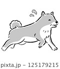 困った表情で逃げるシニア犬のイラスト 125179215