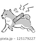 怪我をして困った表情のシニア犬のイラスト 125179227