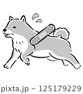 怪我をして困った表情のシニア犬のイラスト 125179229
