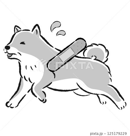 怪我をして困った表情のシニア犬のイラスト 125179229