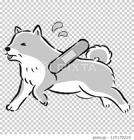 怪我をして困った表情のシニア犬のイラスト 125179229