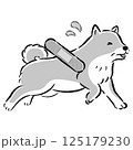 怪我をして困った表情のシニア犬のイラスト 125179230