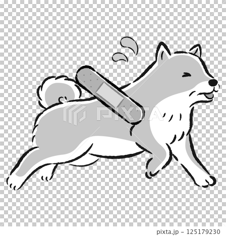 Illustration of an injured senior dog with a troubled expression 125179230