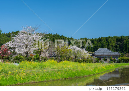 穏やかな春の風景 いすみ市新田野 穏やかな春の風景 いすみ市新田野 125179261
