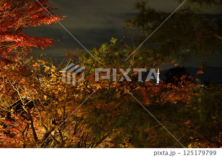 京都タワーを望む 125179799