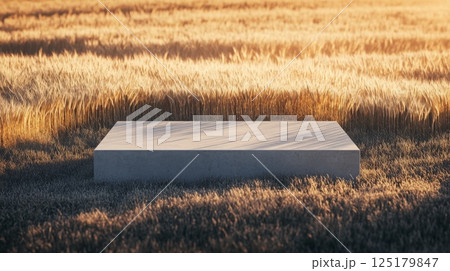 A flat concrete platform is set against a backdrop of vast golden wheat fields during sunset. The warm sunlight casts gentle shadows, enhancing the serene, minimalist atmosphere of the landscape. 125179847