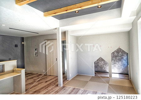 ペット同居型デザイナーズ住宅のお洒落なリビング 125180223