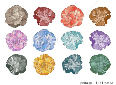 Colorful Multicolored Abstract Wavy Flowers Line Drawing Peony Flowers Various Colors, Intricate Line Art Details, Elegant Floral Modern Design Isolated Vector Collection 125180618