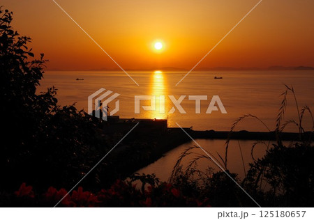 愛媛県四国中央市　川之江城跡のある城山公園から夕陽を望む 125180657