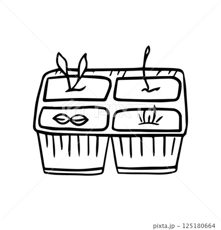 Hand-drawn vector illustration of growing plants in a pot, spring seedlings, seedlings. Agriculture, growing plants. The concept of farming, a home garden. 125180664
