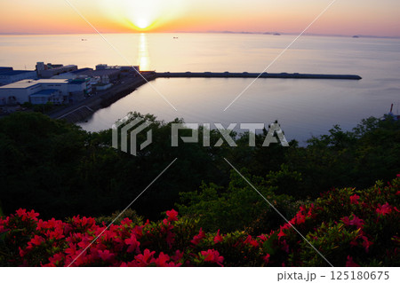 愛媛県四国中央市 サツキの咲く城山公園から夕陽を望む 愛媛県四国中央市 サツキの咲く城山公園から夕陽を望む 125180675