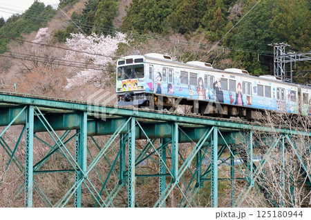 秩父鉄道「ヤマザクラ咲く山間部の鉄橋を走る電車」 秩父鉄道「ヤマザクラ咲く山間部の鉄橋を走る電車」 125180944