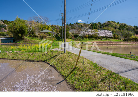 のどかな春景色　市原の田舎風景 125181960