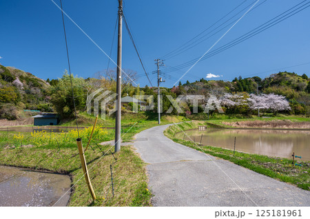 のどかな春景色 市原の田舎風景 のどかな春景色 市原の田舎風景 125181961