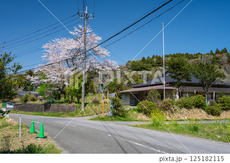 のどかな春の道 市原の田舎風景 のどかな春の道 市原の田舎風景 125182115