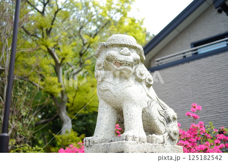 稲毛浅間神社の狛犬 125182542