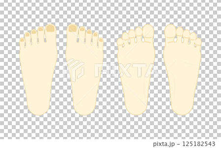 足の甲と裏のセットイラスト 足の甲と裏のセットイラスト 125182543