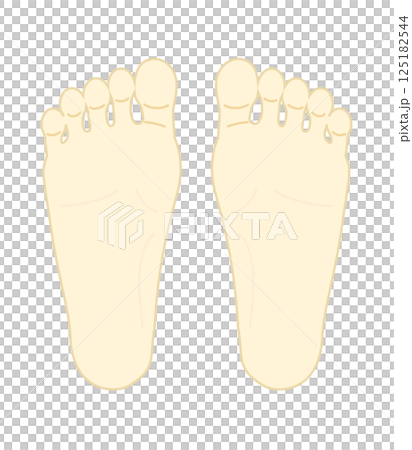 Illustration of the soles of the feet Illustration of the soles of the feet 125182544