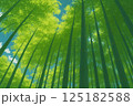 京都嵐山の竹林をイメージしたイラスト 125182588