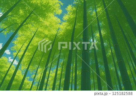 京都嵐山の竹林をイメージしたイラスト 125182588