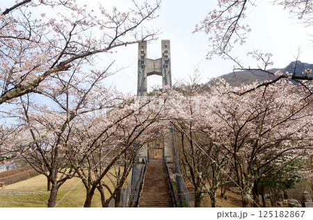 桜咲く足尾銅親水公園 桜咲く足尾銅親水公園 125182867