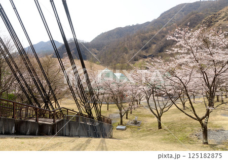 桜咲く足尾銅親水公園 桜咲く足尾銅親水公園 125182875
