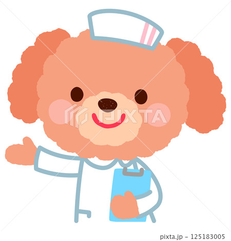 かわいいイヌの看護師さん　お医者さん プードル 125183005