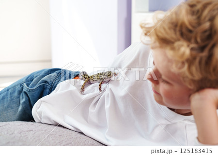 Young boy interacts with a leopard gecko at home while lying on a couch in the afternoon sunlight 125183415