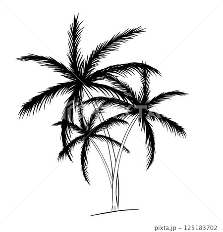 Tree palm tree silhouette composition. Vector graphic line ink illustration. For vacation poster, beach party invitation, backdrop, ad, sale promotion, print for t-shirt 125183702