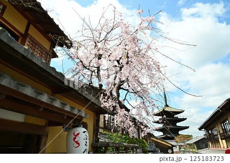 春の京都　八坂の塔 125183723