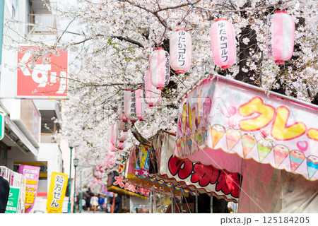 【馬込桜並木通り】屋台を準備中の桜の並木道 125184205