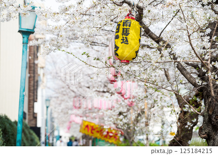 【馬込桜並木通り】屋台を準備中の桜の並木道 125184215