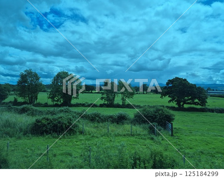 Clear Blue Sky with Cumulus Clouds Over Green Grass and Trees 125184299