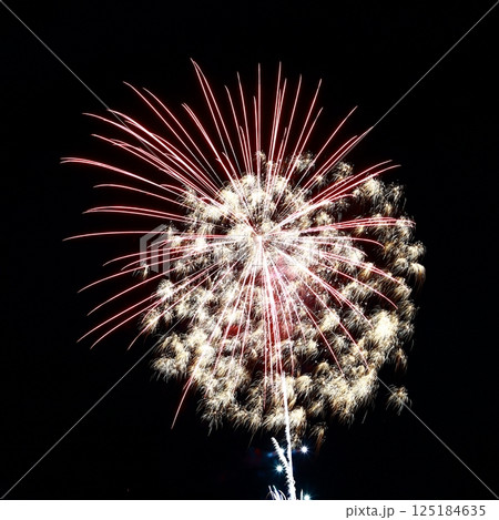 高知市納涼花火大会の放射状に広がる花火 125184635