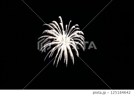 高知市納涼花火大会の放射状に広がる花火 125184642