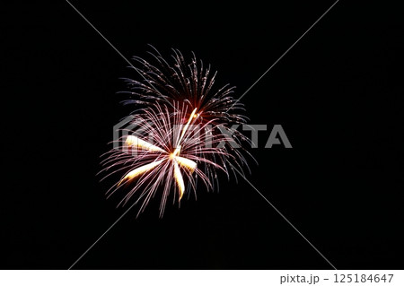 高知市納涼花火大会の放射状に広がる花火 125184647