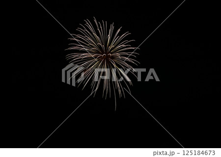 高知市納涼花火大会の放射状に広がる花火 125184673