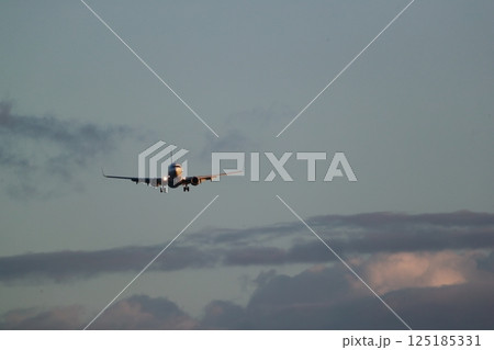 飛行機の着陸 125185331