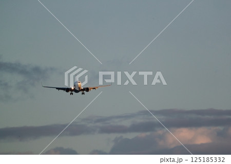 飛行機の着陸 飛行機の着陸 125185332