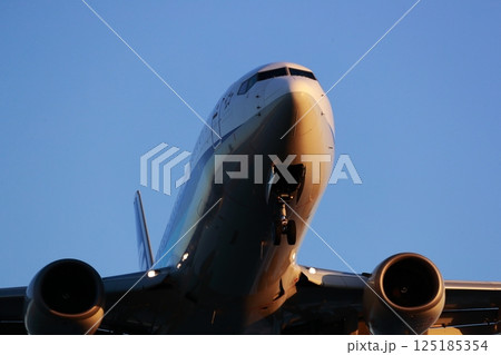 飛行機の着陸 飛行機の着陸 125185354