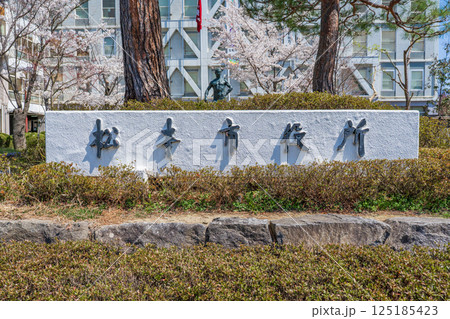 長野県松本市　松本市役所の名標 125185423