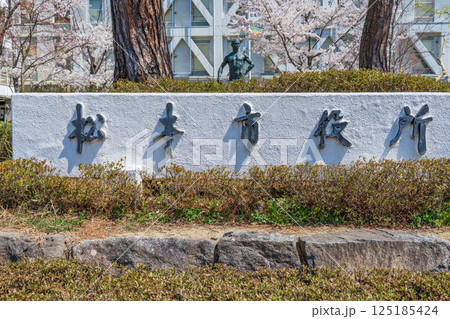 長野県松本市 松本市役所の名標 長野県松本市 松本市役所の名標 125185424