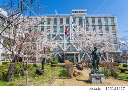 長野県松本市　快晴で桜満開の松本市役所庁舎 125185427